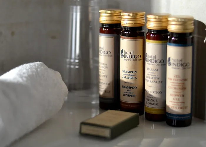 Indigo - Old Town By Ihg Krakau